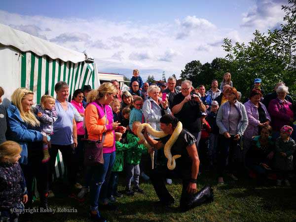 Dschungel-Show bei der Robaria-Show buchen