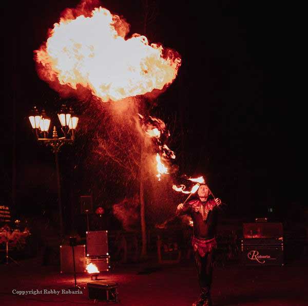 Hochzeitsfeuershow bei der Robaria-Show buchen